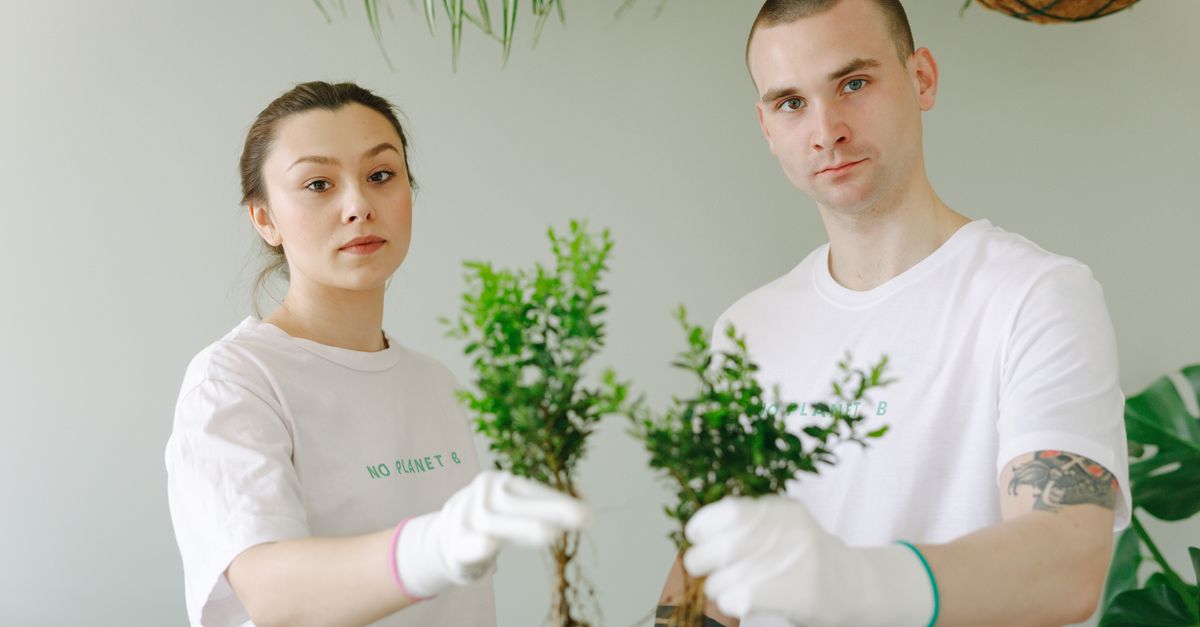 A young couple engaged in eco-friendly planting indoors, promoting environmental awareness.